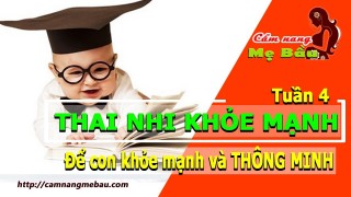 Bạn có biết dấu hiệu con thông minh khỏe mạnh – sự phát triển thai nhi 4 tuần tuổi – cẩm nang mẹ bầu